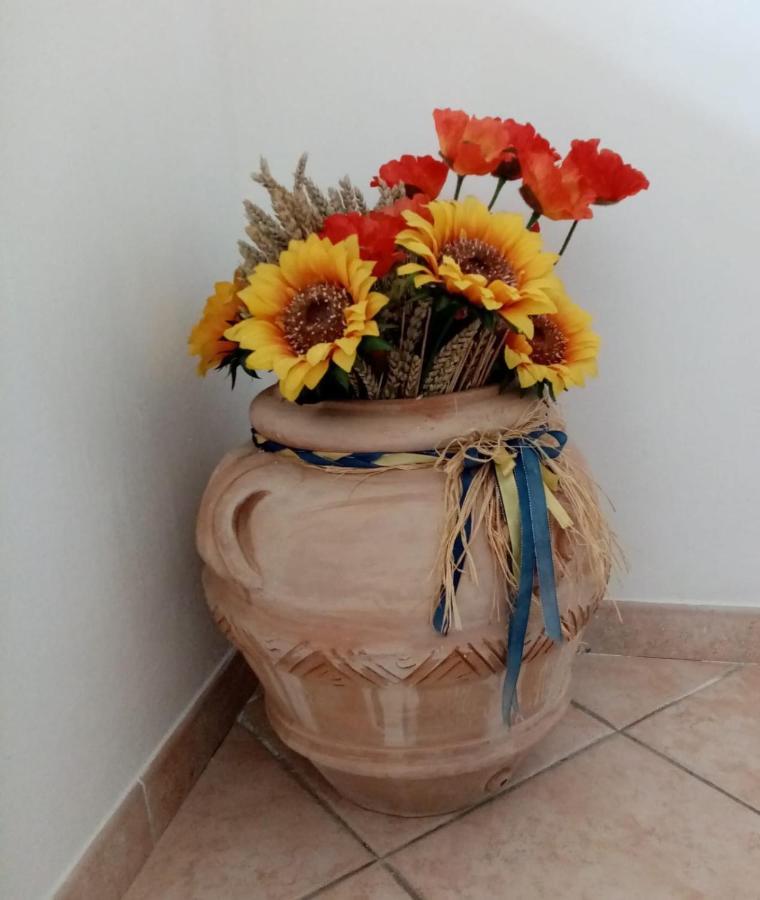 Piccione Marittimo Appartamento Vicinanze Mare Livourne Extérieur photo